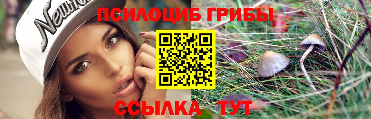 цена   Галлюциногенные грибы Psilocybe  Вход с VPN  Губаха 